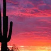 Tina Rumsey's photo