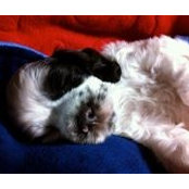 Leonda Steele Garcia's photo
