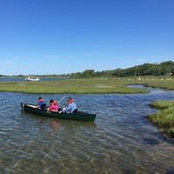 Laura Qin's photo