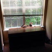 Mary Porter's photo