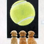 Fenella Jackson's photo