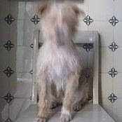 Baerbel Recktenwald's photo