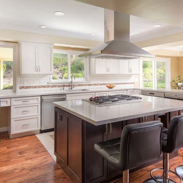 U-Shaped Kitchen Renovation in La Mesa