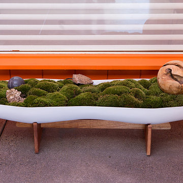 Courtyard Midcentury Modern