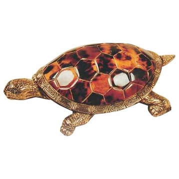 Young Pen Shell and Brass Turtle Figurine