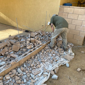 Lions Projects