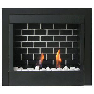 Electric Insert Fireplace Contemporary Indoor Fireplaces By