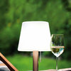 Solar 1-Light LED Outdoor Table Light, Silver Finish, White Plastic Shade
