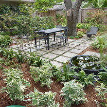 Landscape Ideas