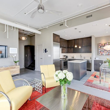 Condo Kitchen and living room remodeling