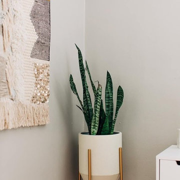 Must-Book AirBnb | Cherry Creek, CO | Boho Destination Renovation