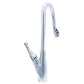 Dyconn Delaware Modern Pull Out Dual Spray Single Handle Kitchen Faucet