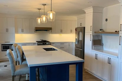 Trendy kitchen photo in Toronto