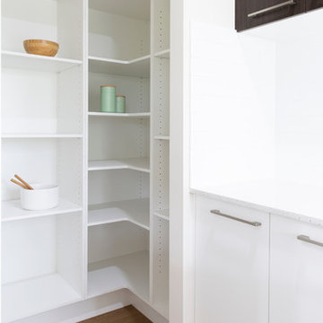Delaney 39 Haven Walk in Pantry