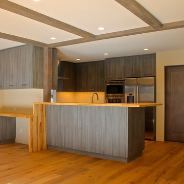 Del Mar Whole House Remodel