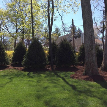Garden Design