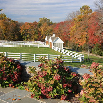 Steeple Chase Farm