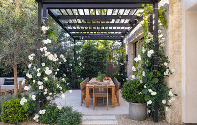 What to Know About Adding a Pergola