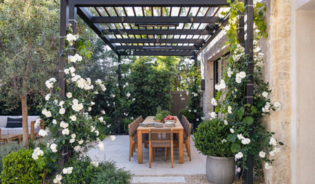 What to Know About Adding a Pergola