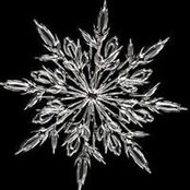 Jeanne Ryan's photo