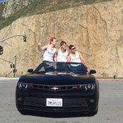 Dailius Wilson's photo