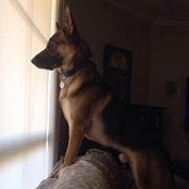 Fiona Chasemore's photo