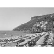 Lloyd Fleming's photo