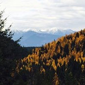 Karen Goodwin's photo