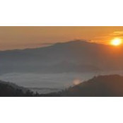 Ae Saowaros's photo