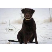 Ginny Peterson's photo