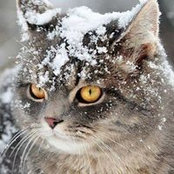 Patricia Brown's photo