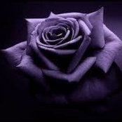 Carrie Gardner's photo
