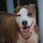 Marc Guertin's photo