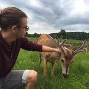 Foto von Benjamin Marchand