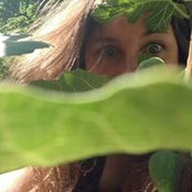 Photo de Jeannine D Fig