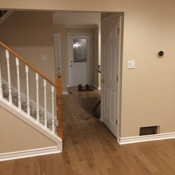 Our latest projects