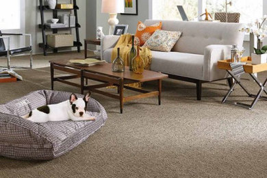Example of a living room design in Phoenix