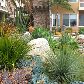 Seaside Colorful Succulent Garden