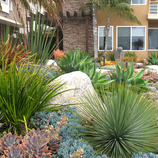 Succulent Garden | Houzz