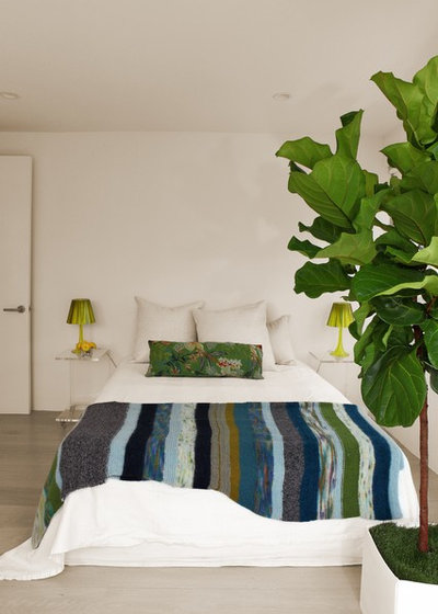 Grün ist hip: 11 moderne Zimmerpflanzen