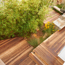 Wood Beauty