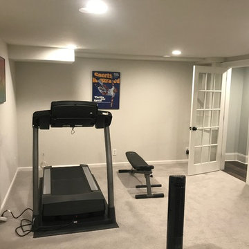 North Side of Westfield Basement Renovation