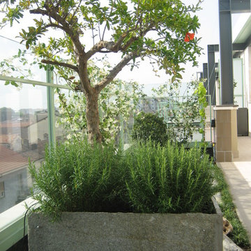hanging garden near the river Ticino's valley and Park