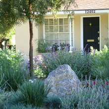water saving landscape