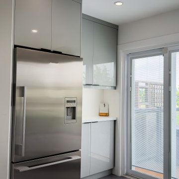 Kitchen Renovation - Project Tania