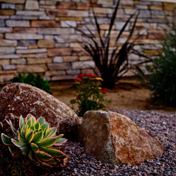 Succulents
