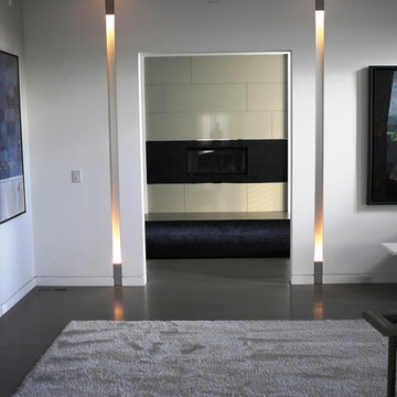 Amazing Modern Caesarstone Fireplace in Washington DC