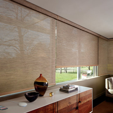 Designer Roller Shades