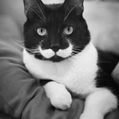 Ana Pedro's photo