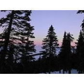Camille Gilmore's photo